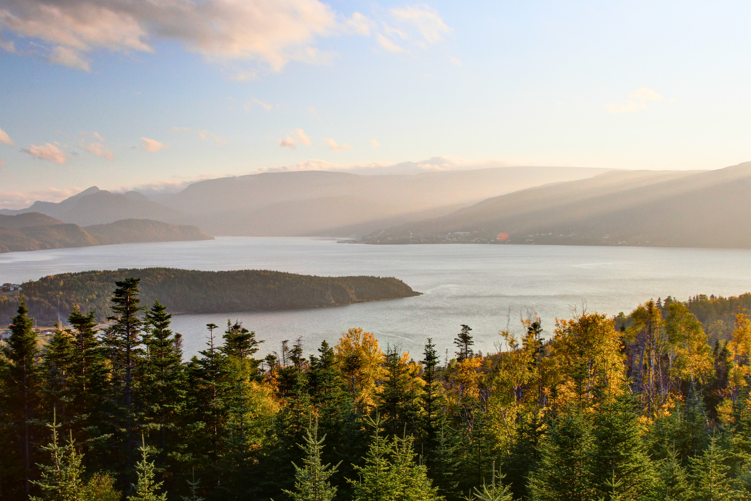 gros morne national park, newfoundland and labrador.webp